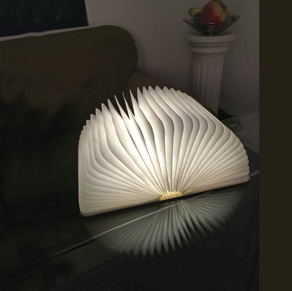 EIN BUCH WIRD ZUR DESIGN-LAMPE